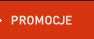 Promocje > Pogotowie komputerowe Szamotuy Naprawa Serwis komputerowy, informatyk Szamotuy, Wromki, Obrzycko, Ostrorg, Oborniki Wielkopolskie, Pniewy, Duszniki, Kamierz